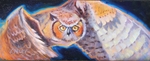 Night Owl SOLD