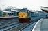 23rd March 1996