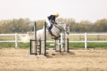 SBM_003291