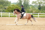 SBM_006455