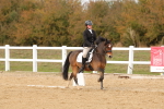 SBM_010568