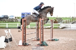 Cls 13 Snr Foxhunter and 1.20m portfolio