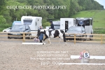 BPP_9906
