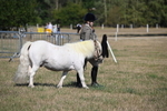 WJ6_4162