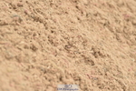 230611A-122514-05482