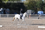 BPP_9258