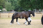 WJ6_7847