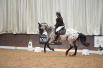 SBM_001925