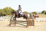 SBM_003866