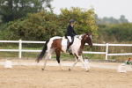 SBM_01662