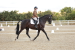 SBM_003581