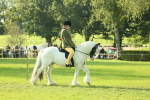 SBM_59298