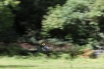 FOM_0743
