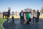 Race 8 portfolio