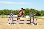 SBM_002825