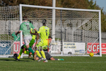 GFC v Hastings United 2018-19