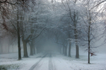 Clifton in snow_B0153