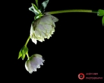190306-untitled-3K8A7814-Edit