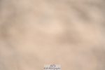 230813-124138-07133