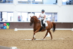 SBM_001019