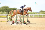 SBM_004438