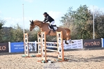 Cls 6+7 Foxhunter, 1.20m and 1.30m portfolio