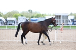 SBM_15244
