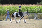 WJ6_8955