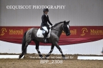 BPP_2308
