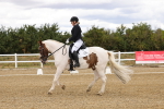 SBM_006351