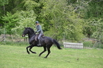 WJ6_3470