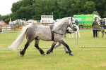 SBM_00466