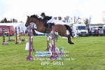 BPP_5881