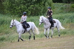 WJ7_6513