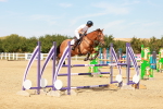 SBM_003838