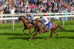 260823-Race 5-Summerghand-Albasheer-0774