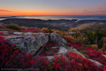 Acadia Embers