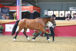 SBM_16575