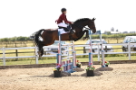 SBM_004210