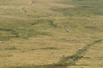 Fellside-206