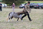 WJ6_6979