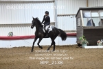 BPP_2138