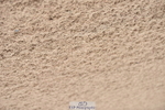 230810A-144744-01312