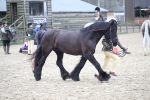 SBM_007290