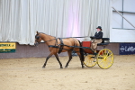 SBM_001059