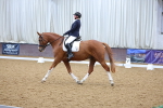 SBM_002351