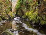 Fairy Glen (2)