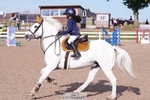 Cls 34 Springboard 128cm and 138cm portfolio