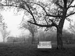 Best Porch Swing Ever