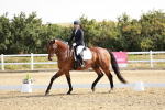 SBM_002476